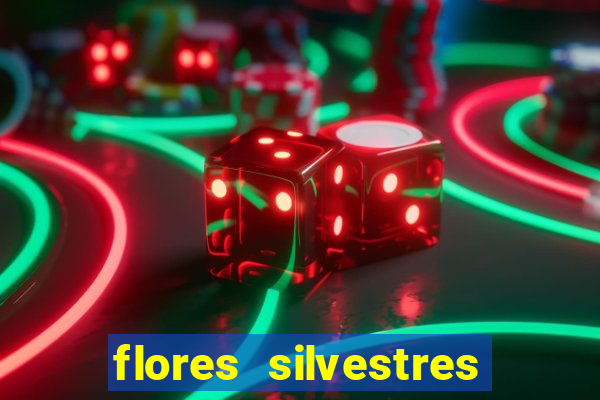 flores silvestres desbravadores desbravadores 25